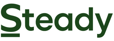 steady.ae - Payment Collection for UAE SMEs