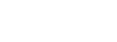 steady.ae - Payment Collection for UAE SMEs